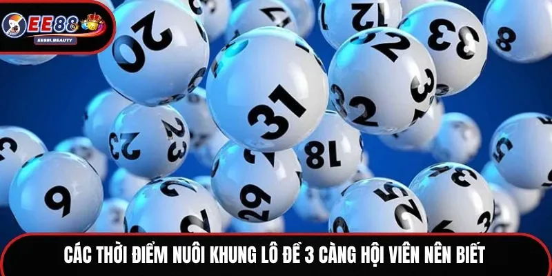 Các thời điểm nuôi khung lô đề 3 càng hội viên nên biết