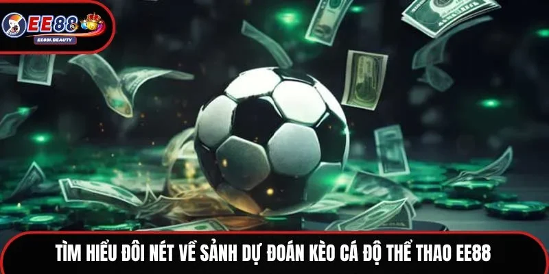 Tìm hiểu đôi nét về sảnh dự đoán kèo cá độ thể thao EE88