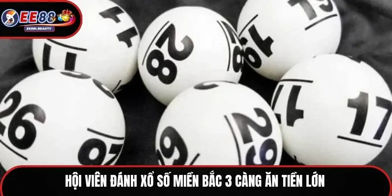 Hội viên đánh xổ số miền Bắc 3 càng ăn tiền lớn